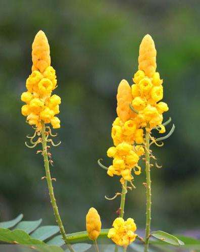 长沙东日园林工程有限公司,长沙园林绿化工程,长沙绿化养护管理