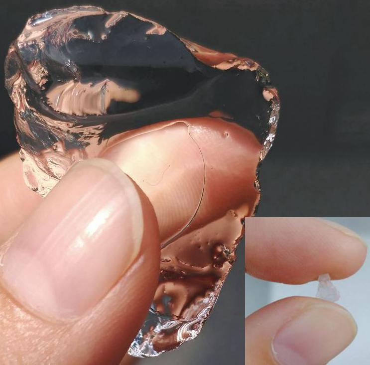 长沙东日园林工程有限公司,长沙园林绿化工程,长沙绿化养护管理