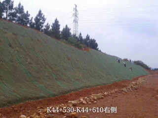 长沙东日园林工程有限公司,长沙园林绿化工程,长沙绿化养护管理